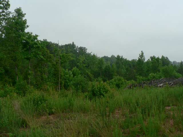 0 South Glassy Road Greer, SC 29651 - Photo 3 of 9