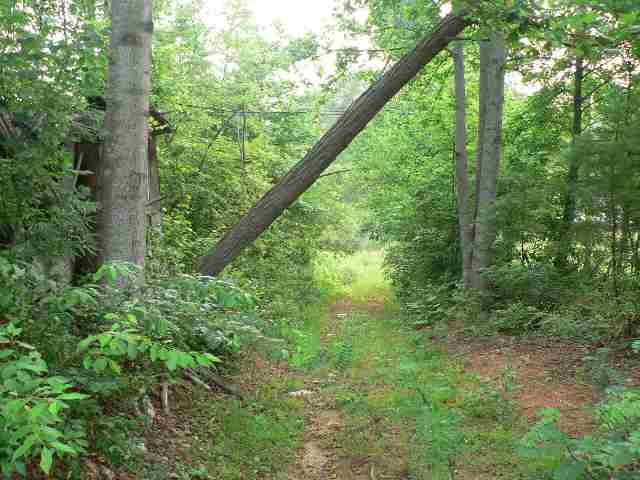 0 South Glassy Road Greer, SC 29651 - Photo 8 of 9