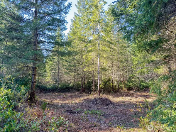 $185,000 | 222 X Octopus Court, Quilcene, WA 98376