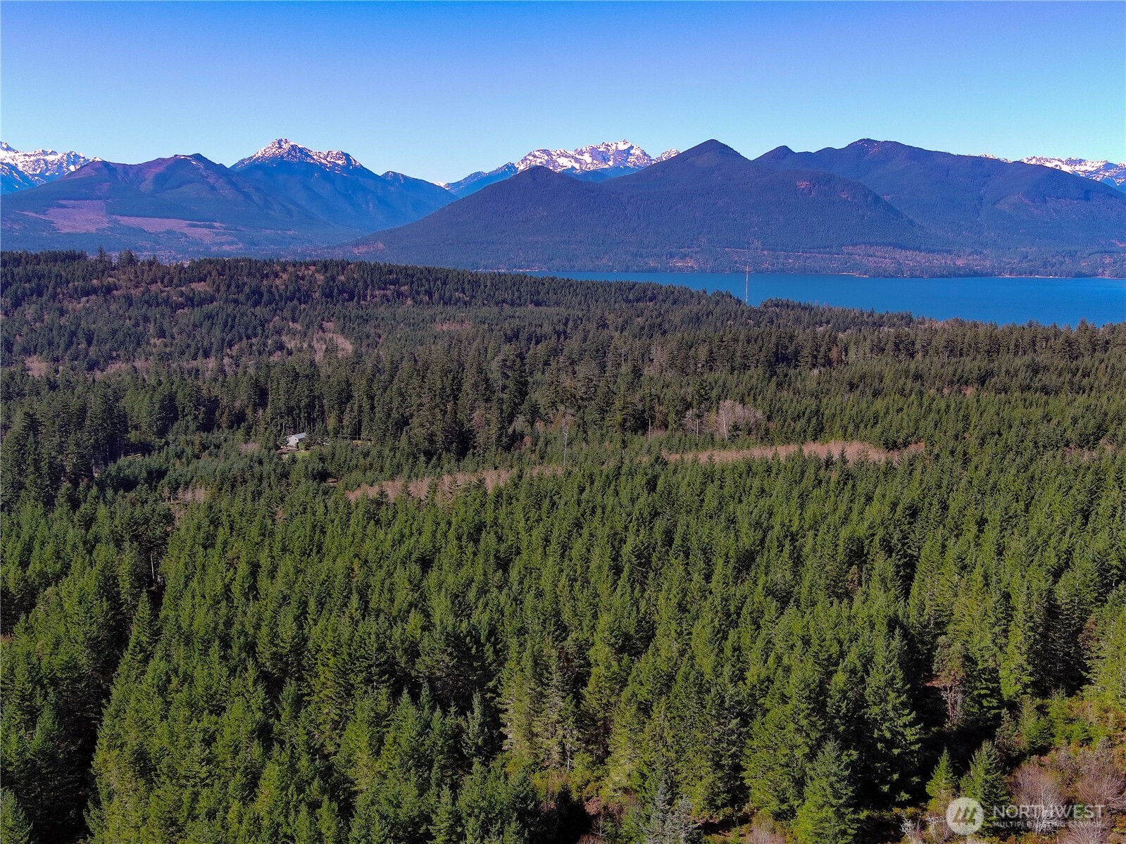 222 X Octopus Court Quilcene, WA 98376 - Photo 19 of 22 a view of a lush green hillside and a houses