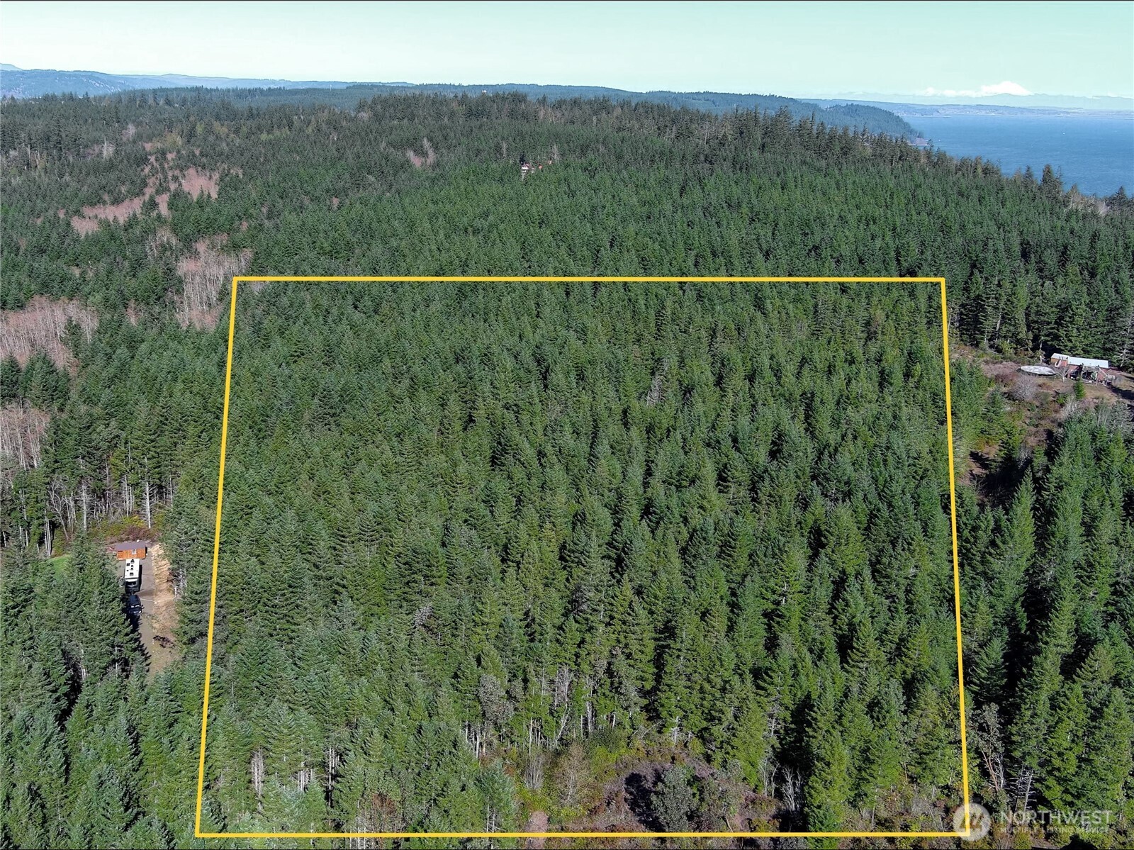 222 X Octopus Court Quilcene, WA 98376 - Photo 7 of 22 a view of a forest from a balcony