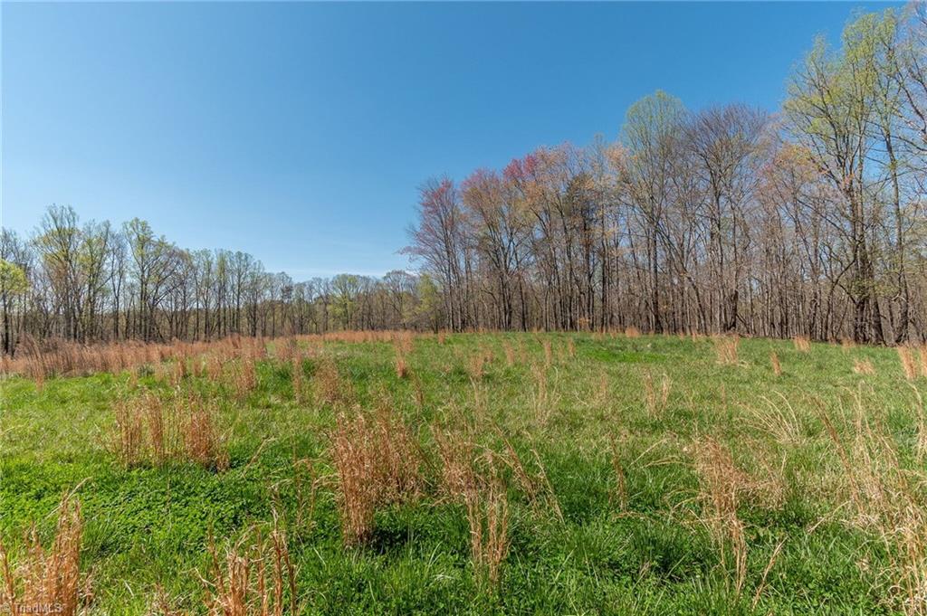 0 Mt Zion Road, Unit TRACT 9 Pinnacle, NC 27043 - Photo 2 of 20