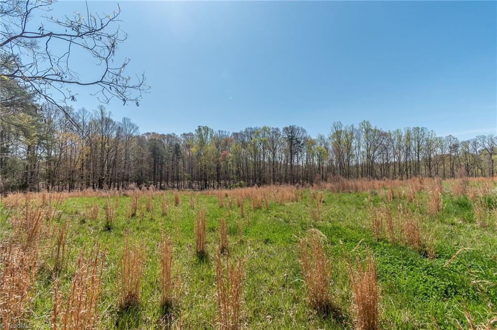 0 Mt Zion Road, Unit TRACT 9 Pinnacle, NC 27043 - Photo 11 of 20