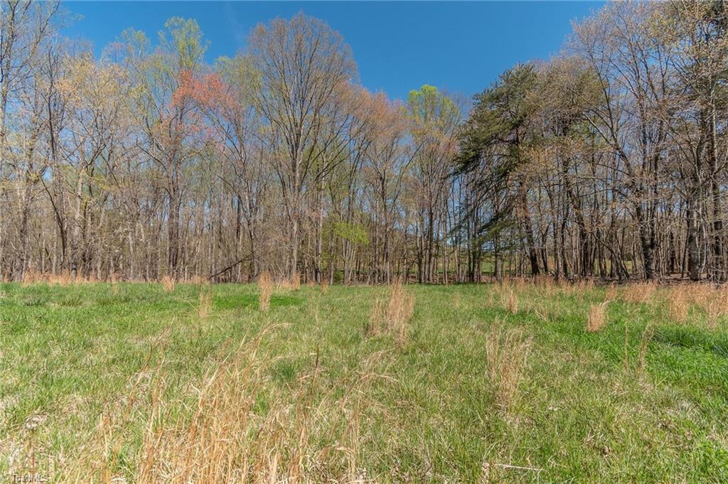 0 Mt Zion Road, Unit TRACT 9 Pinnacle, NC 27043 - Photo 12 of 20