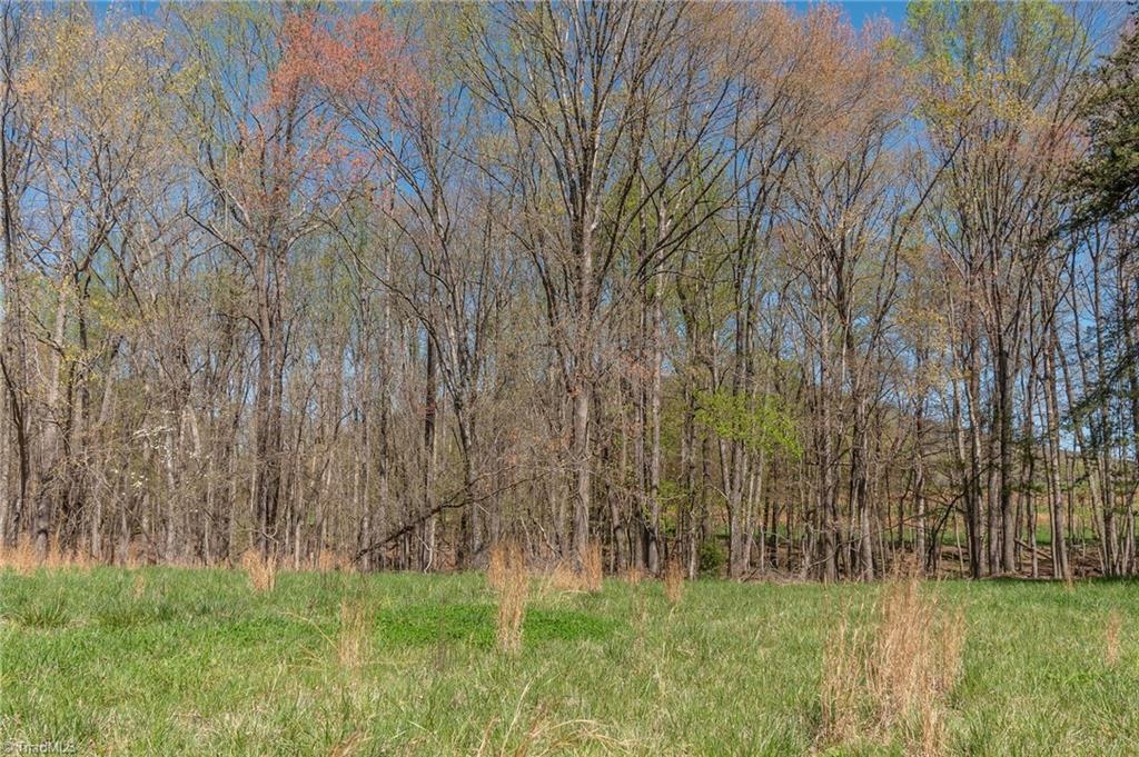 0 Mt Zion Road, Unit TRACT 9 Pinnacle, NC 27043 - Photo 13 of 20