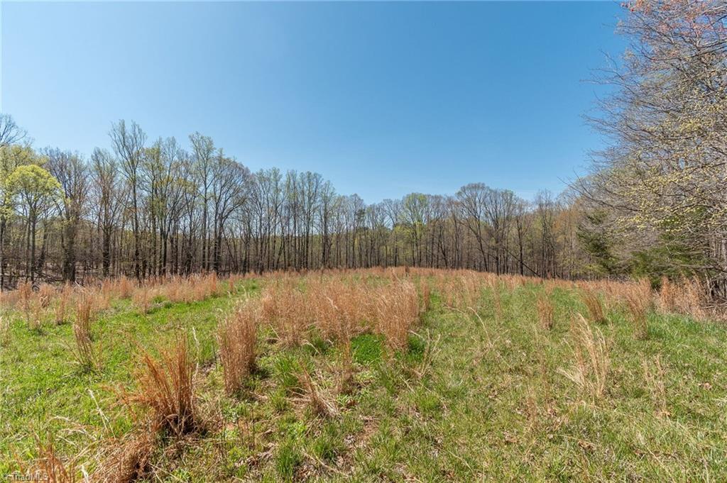 0 Mt Zion Road, Unit TRACT 9 Pinnacle, NC 27043 - Photo 14 of 20