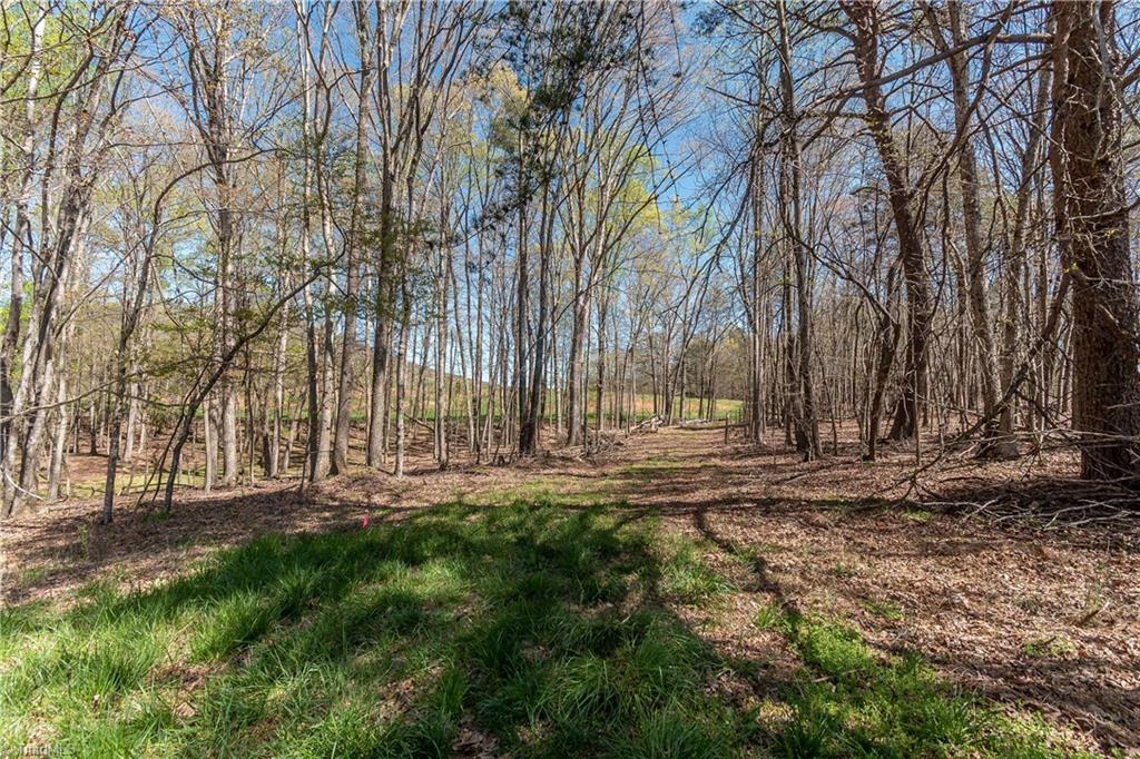 0 Mt Zion Road, Unit TRACT 9 Pinnacle, NC 27043 - Photo 15 of 20