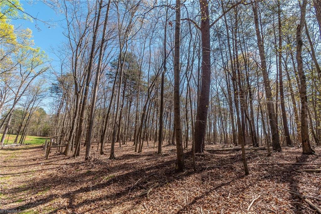0 Mt Zion Road, Unit TRACT 9 Pinnacle, NC 27043 - Photo 16 of 20