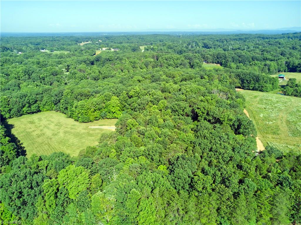 0 Mt Zion Road, Unit TRACT 9 Pinnacle, NC 27043 - Photo 17 of 20