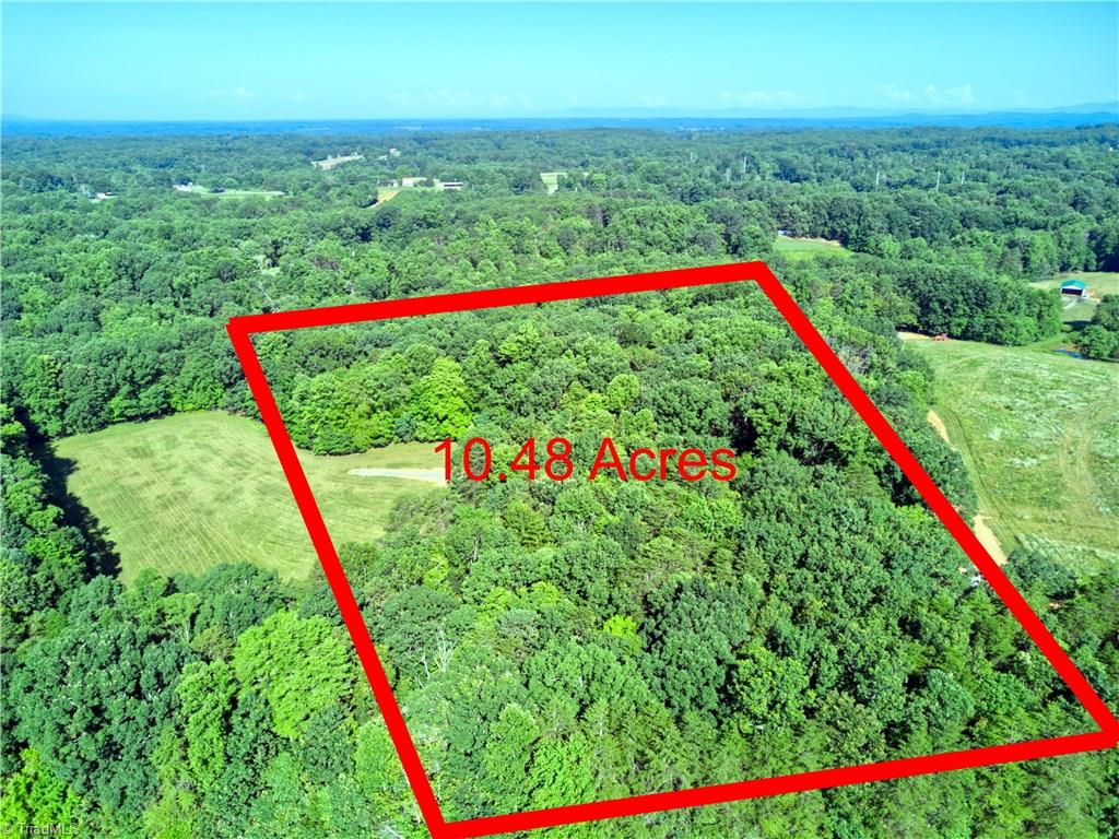 0 Mt Zion Road, Unit TRACT 9 Pinnacle, NC 27043 - Photo 18 of 20