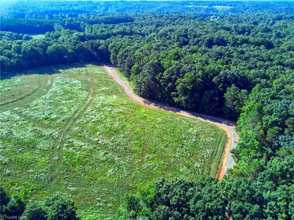0 Mt Zion Road, Unit TRACT 9 Pinnacle, NC 27043 - Photo 19 of 20