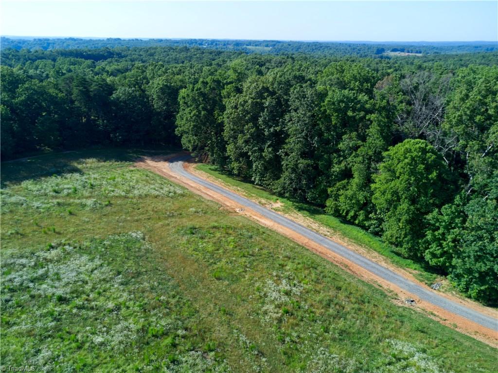 0 Mt Zion Road, Unit TRACT 9 Pinnacle, NC 27043 - Photo 20 of 20