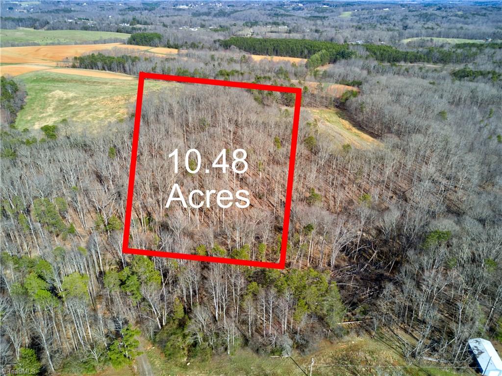 0 Mt Zion Road, Unit TRACT 9 Pinnacle, NC 27043 - Photo 3 of 20