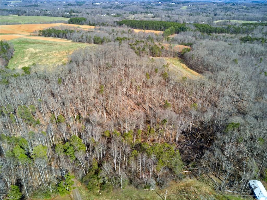 0 Mt Zion Road, Unit TRACT 9 Pinnacle, NC 27043 - Photo 4 of 20