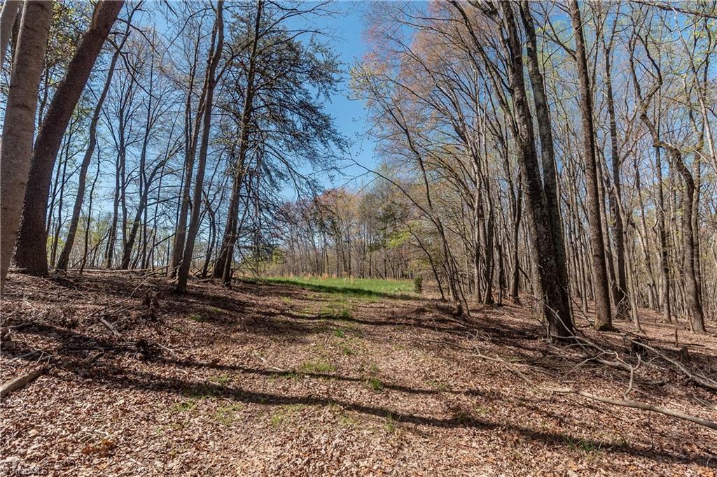 0 Mt Zion Road, Unit TRACT 9 Pinnacle, NC 27043 - Photo 8 of 20