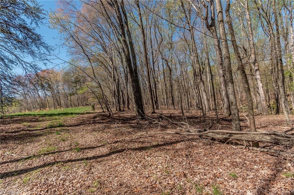 0 Mt Zion Road, Unit TRACT 9 Pinnacle, NC 27043 - Photo 9 of 20