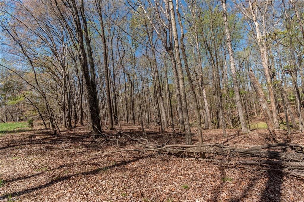 0 Mt Zion Road, Unit TRACT 9 Pinnacle, NC 27043 - Photo 10 of 20