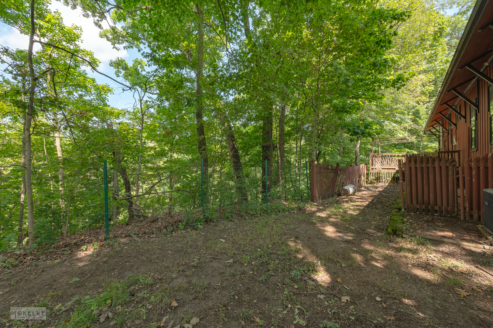 2152 North 41st Road Sheridan, IL 60551 - Photo 41 of 50 a view of a forest with trees in the background