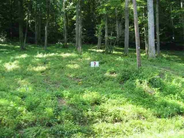 $20,000 | Lot #7 Short White Oak, Greenup, KY 41144