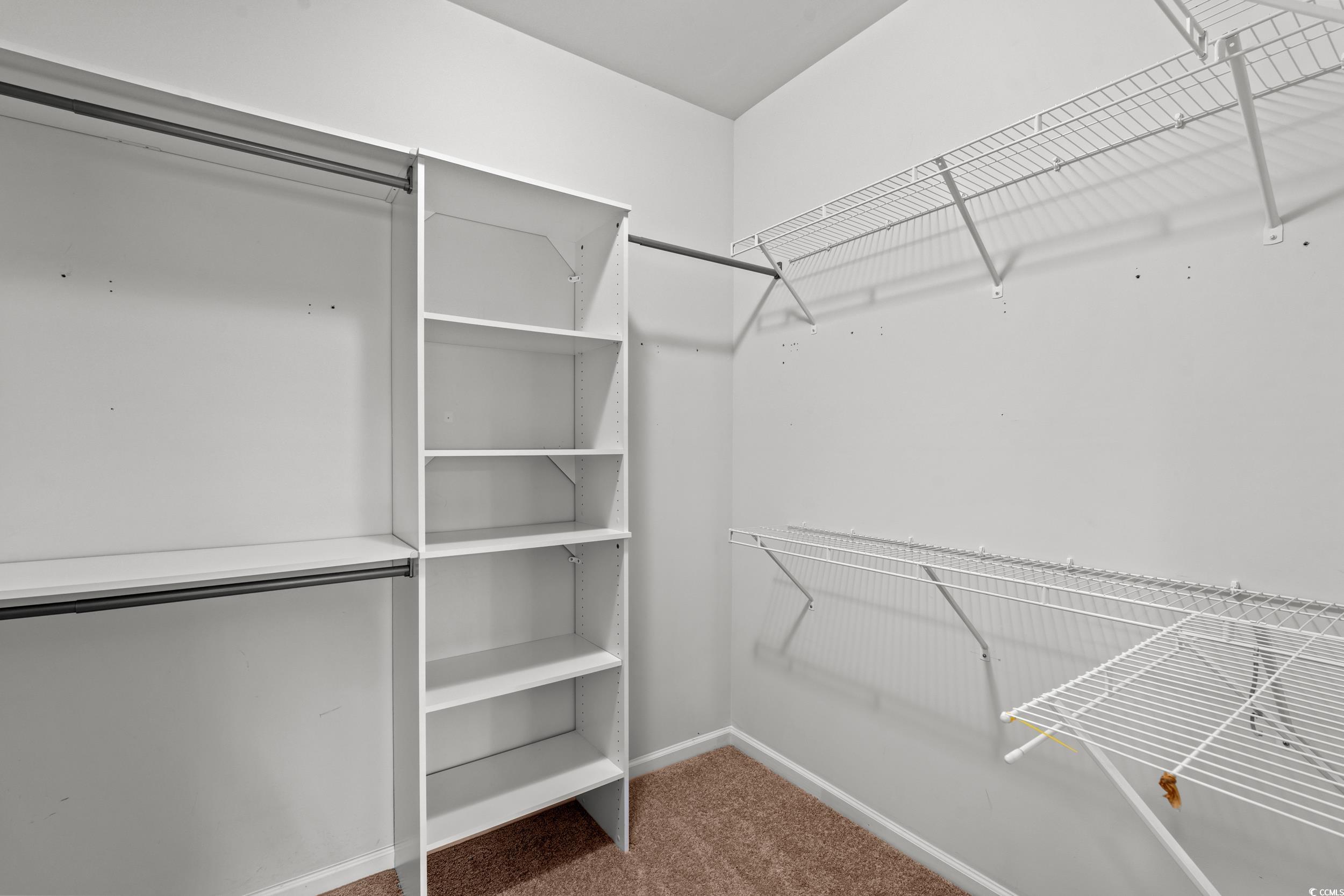 4064 Alvina Way Myrtle Beach, SC 29579 - Photo 21 of 40 Walk in closet featuring carpet flooring