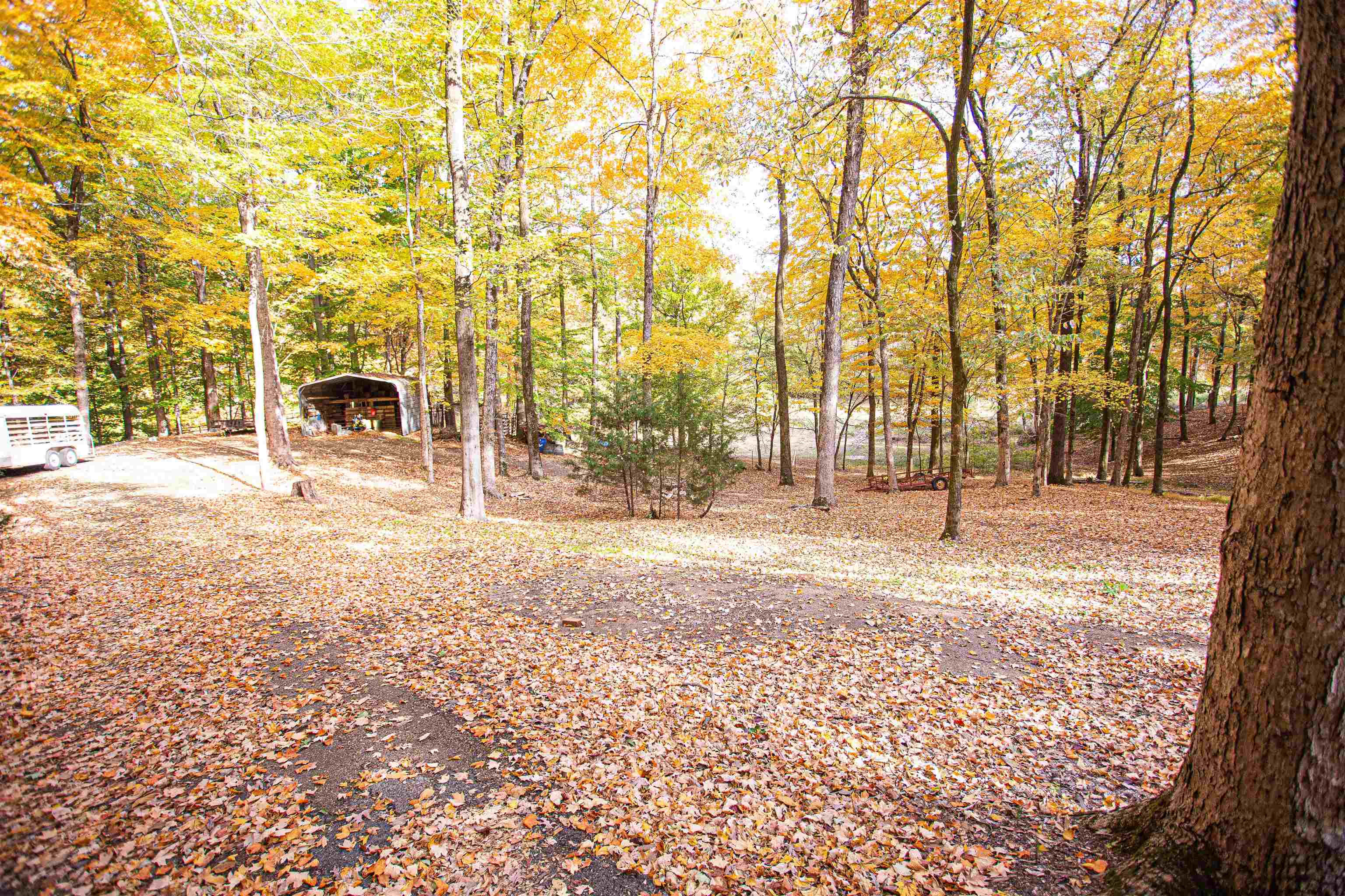 90 Aubrey Lane Ripley, TN 38063 - Photo 18 of 25 a view of a yard with trees in front of it
