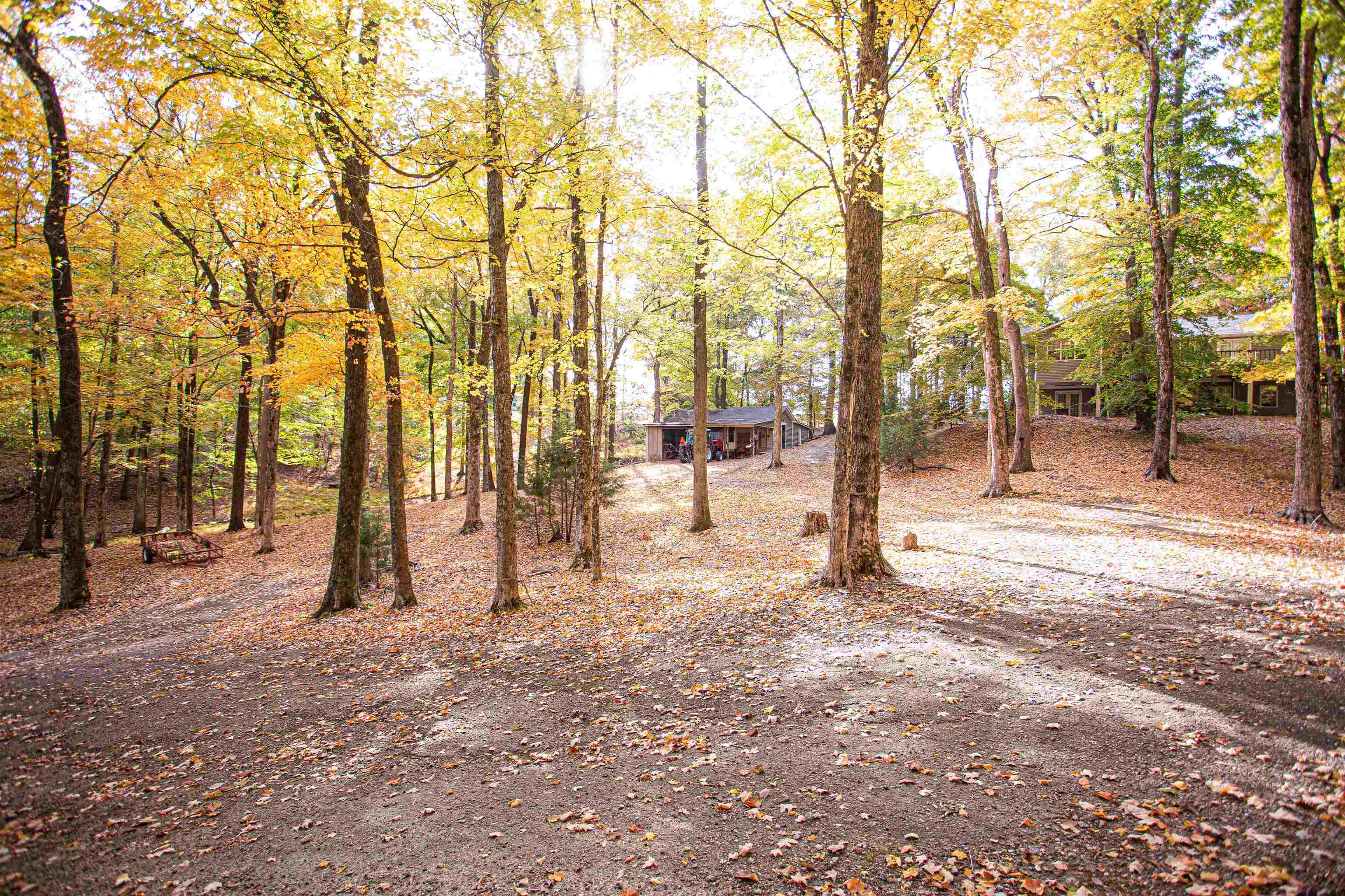 90 Aubrey Lane Ripley, TN 38063 - Photo 19 of 25 a view of outdoor space with street view