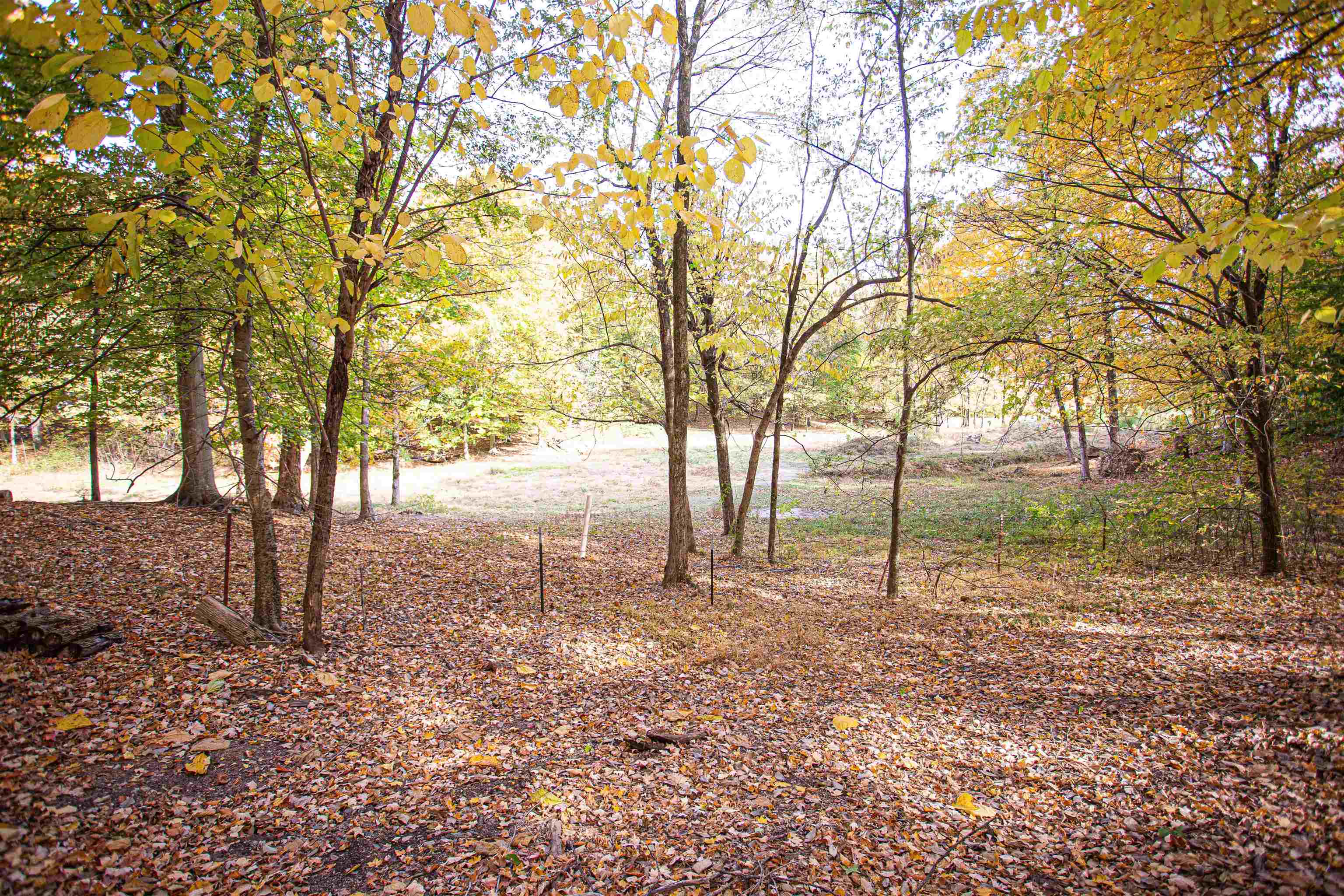 90 Aubrey Lane Ripley, TN 38063 - Photo 20 of 25 a backyard of a house with lots of green space