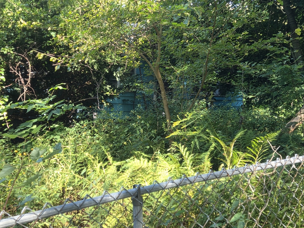 141 Pleasant Street Lunenburg, MA 01462 - Photo 1 of 1 a backyard of a house with lots of green space and a fountain
