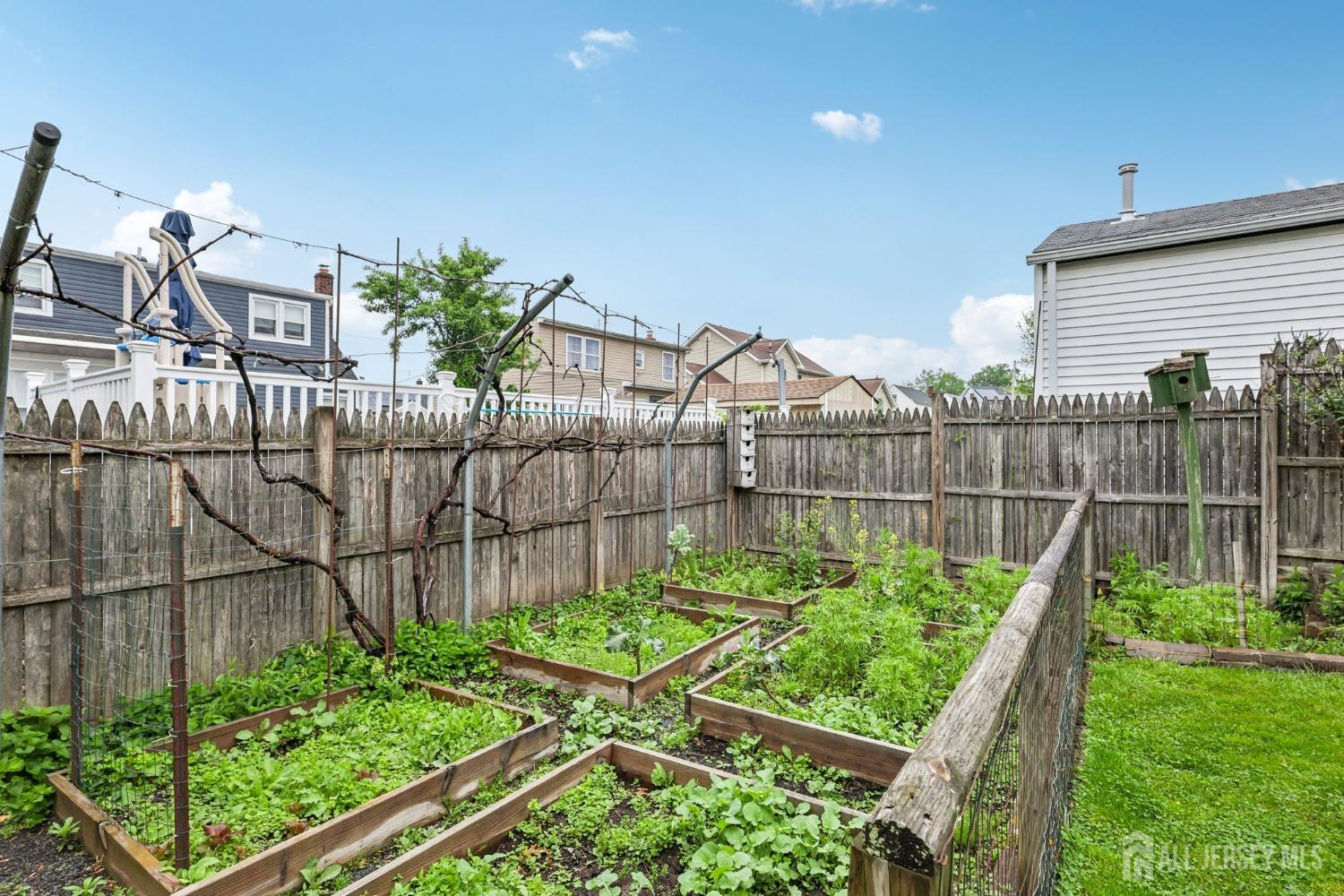 153 East Hill Road Colonia, NJ 07067 - Photo 31 of 40 a garden view with plants
