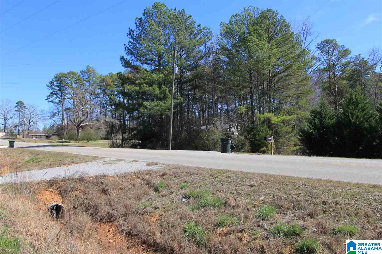0 Rabbittown Road, Unit 14 11 Piedmont, AL 36272 - Photo 8 of 8