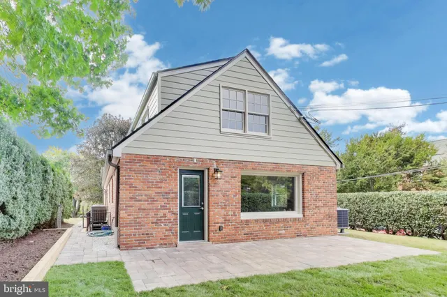 a view of a backyard with potted plants and large tree
