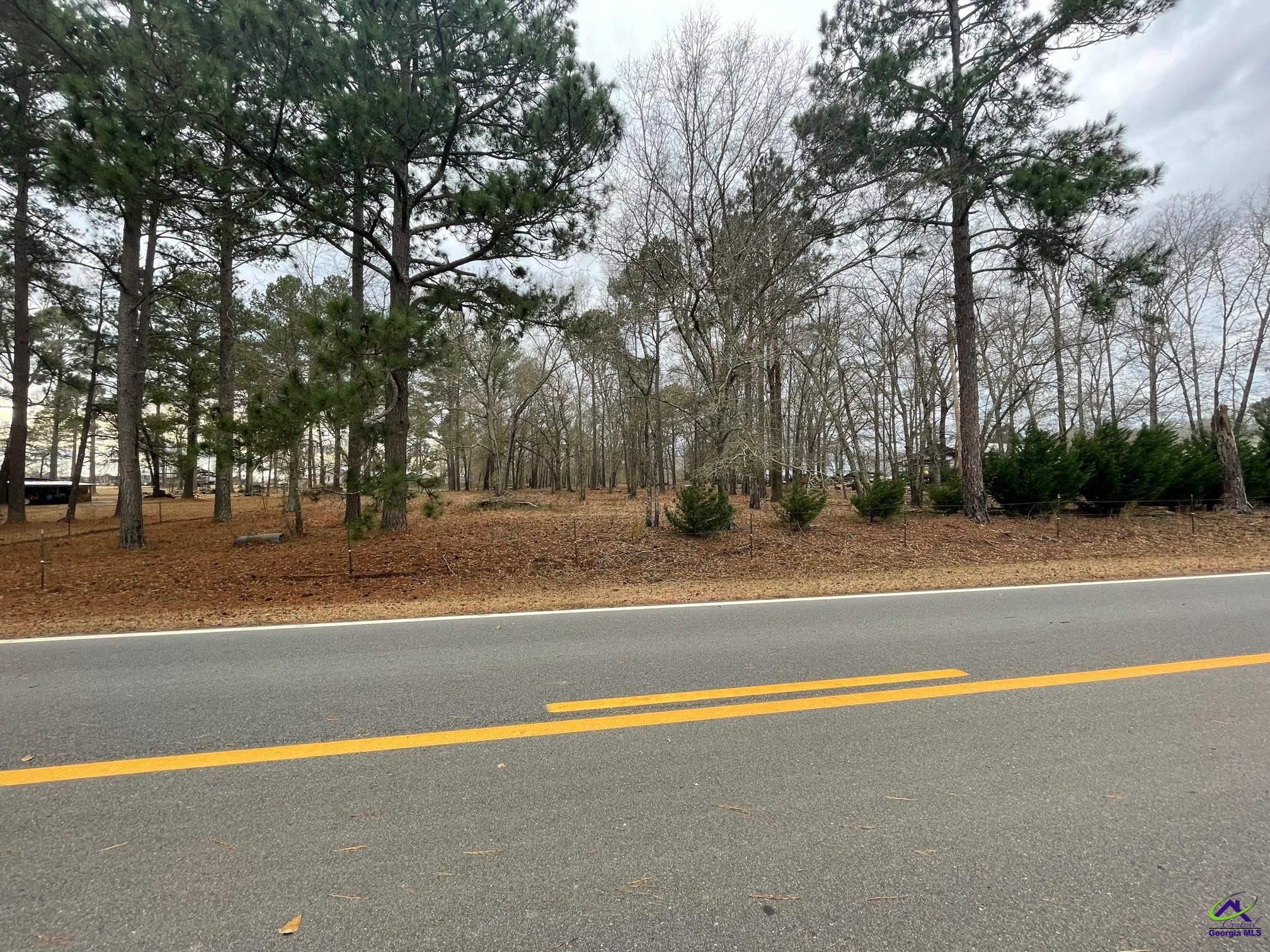 Bates Road Cochran, GA 31014 - Photo 7 of 11