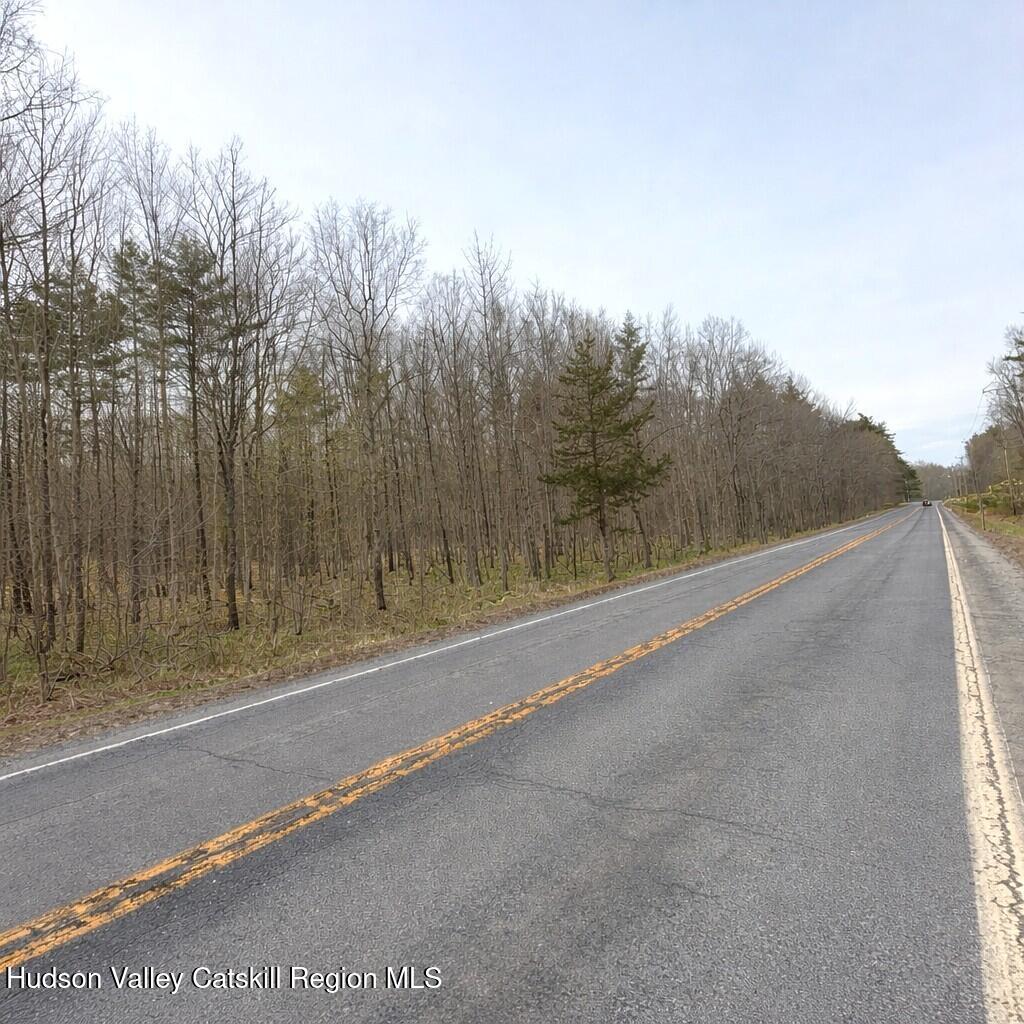 Tbd Silver Spur Road West Cairo, NY 12413 - Photo 2 of 11 32