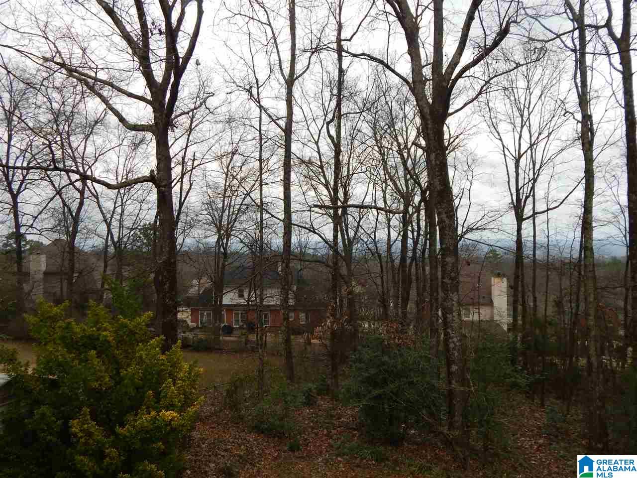 69 Shades Crest Road Hoover, AL 35226 - Photo 28 of 31 Gallery Image 28