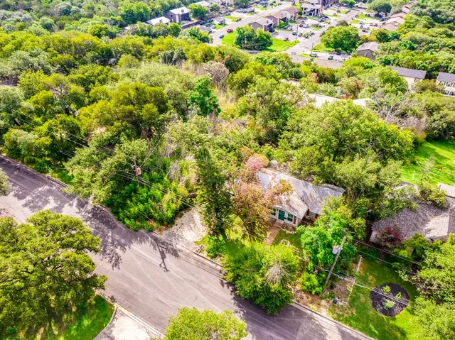 a view of a garden with a tree