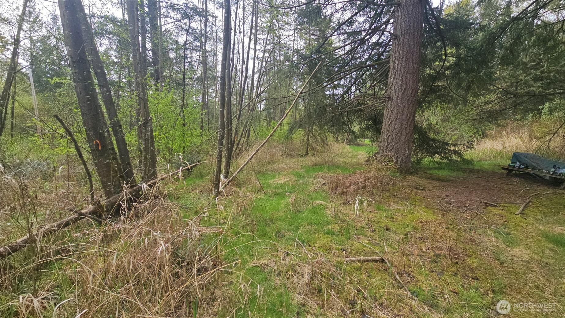 2160 H Street Road Blaine, WA 98230 - Photo 15 of 18