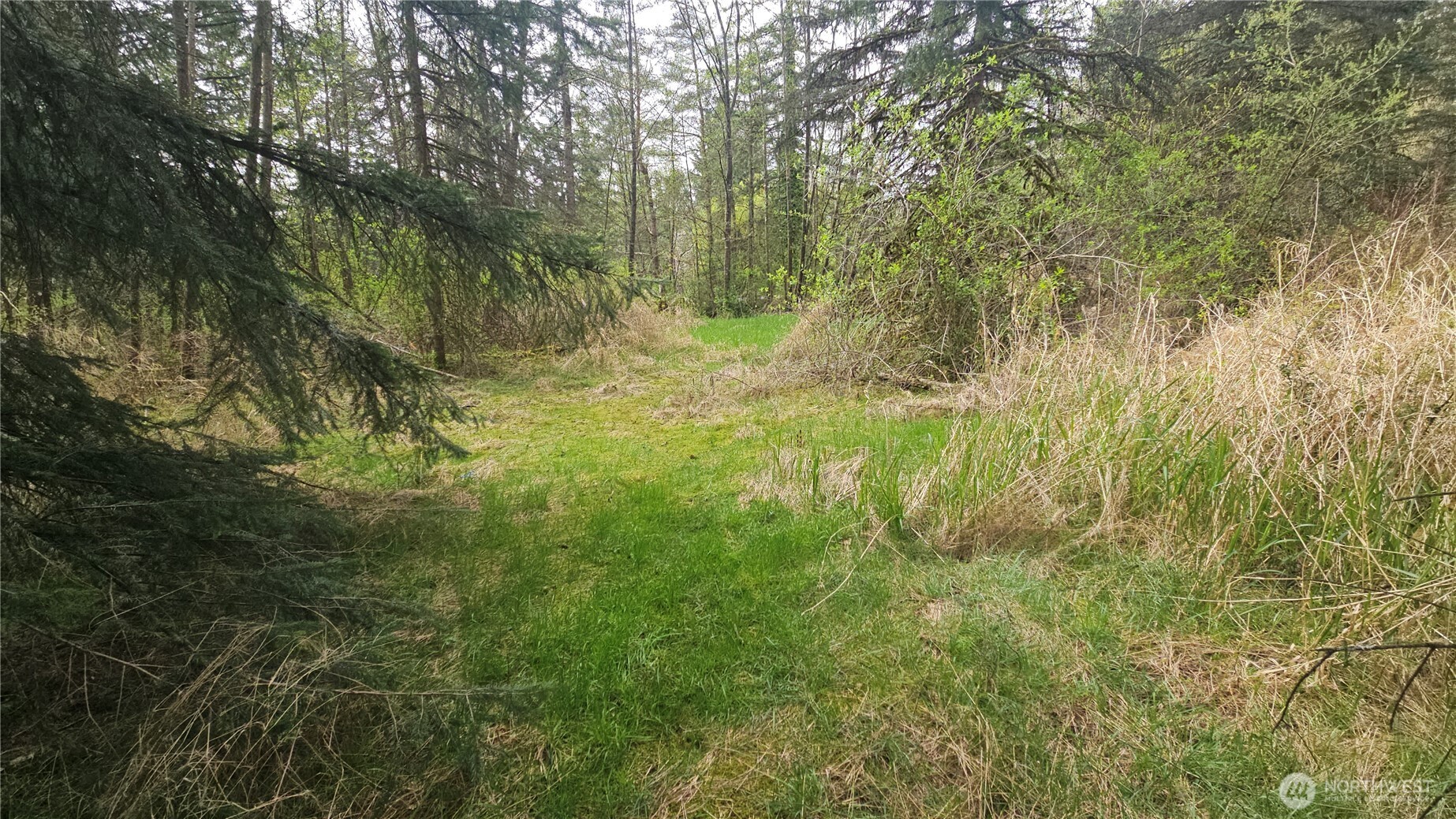 2160 H Street Road Blaine, WA 98230 - Photo 16 of 18