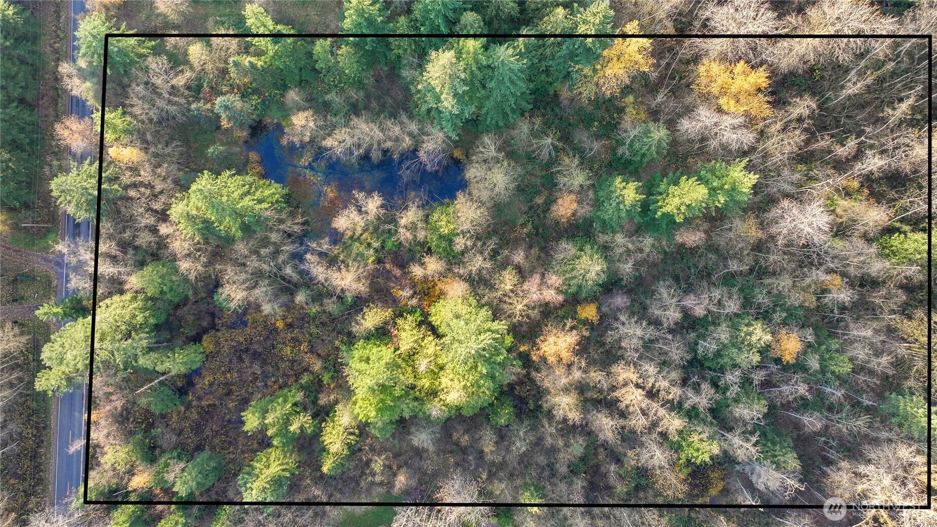 2160 H Street Road Blaine, WA 98230 - Photo 5 of 14