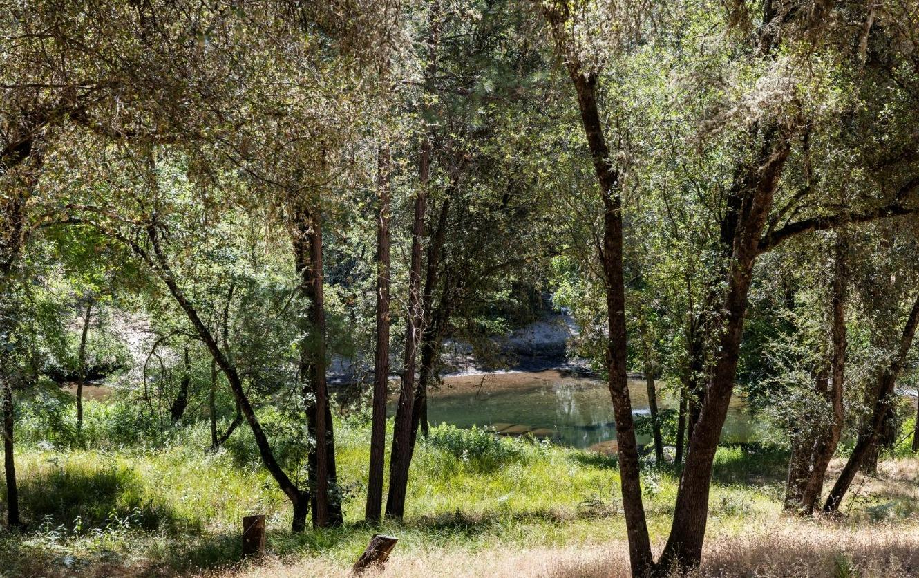 0 Cosumnes View Trail Placerville, CA 95667 - Photo 5 of 14 View from neighbor's house of river at southside of parcel, subject property to the left.
