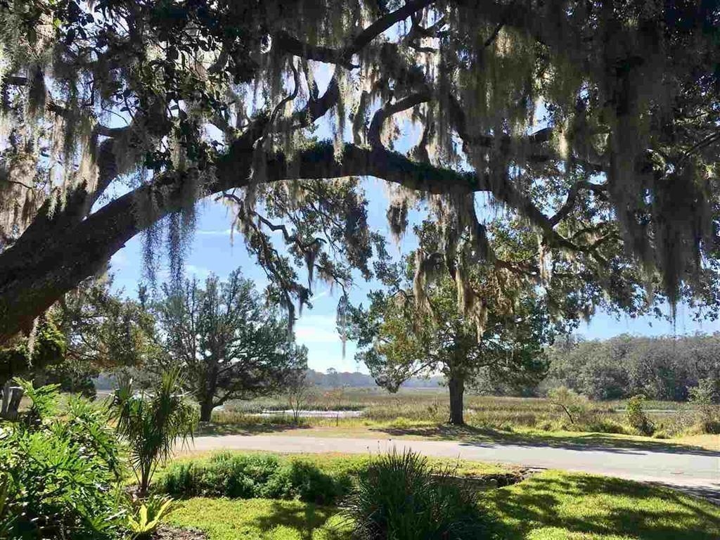 100 Saturn Road St. Augustine, FL 32086 - Photo 19 of 29 a view of yard with green space