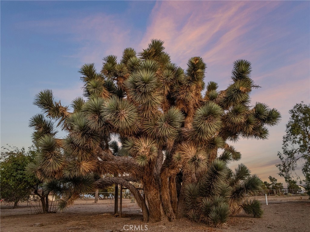 9561 Middleton Road Phelan, CA 92371 - Photo 25 of 30