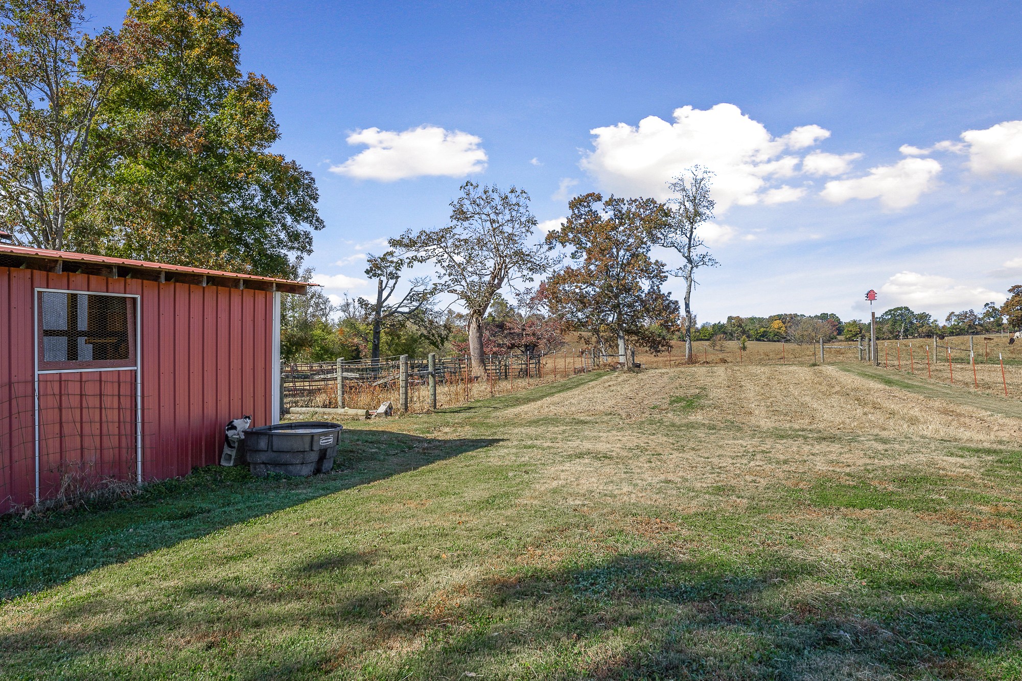 992 Clemmons Road Cookeville, TN 38501 - Photo 34 of 50 Gallery Image 34