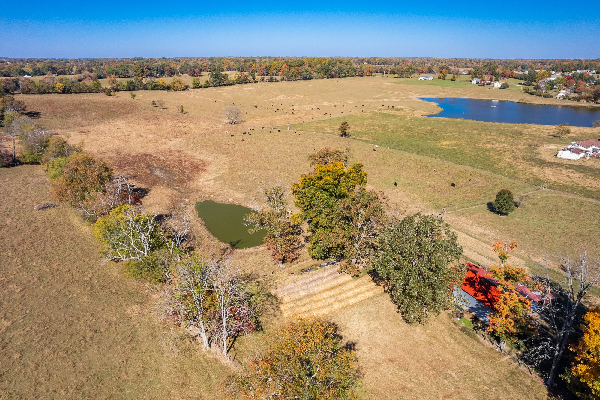 992 Clemmons Road Cookeville, TN 38501 - Photo 6 of 50 Gallery Image 6