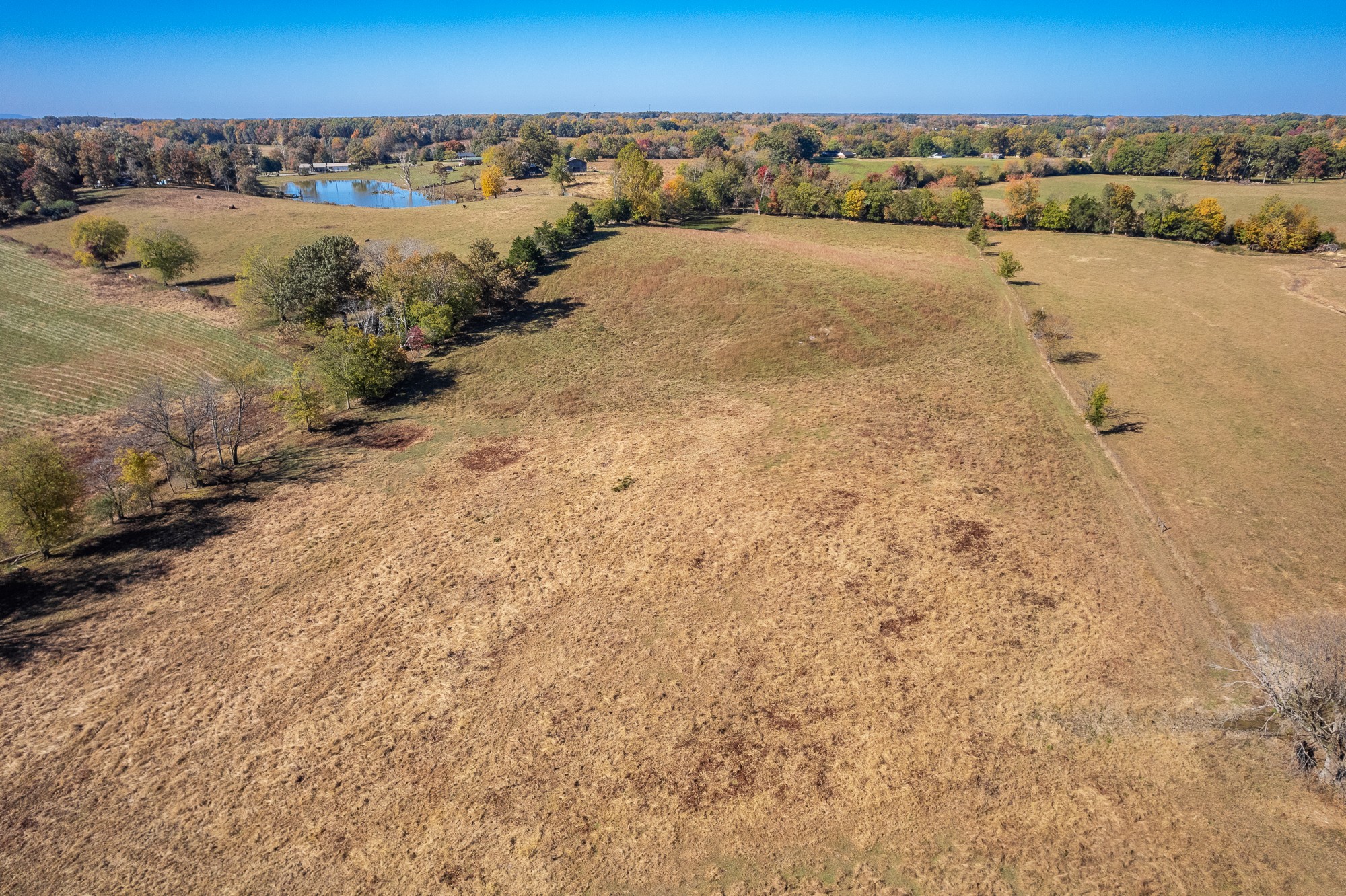 992 Clemmons Road Cookeville, TN 38501 - Photo 7 of 50 Gallery Image 7
