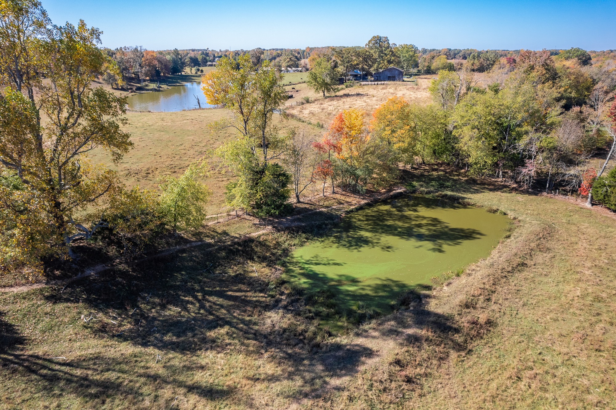 992 Clemmons Road Cookeville, TN 38501 - Photo 9 of 50 Gallery Image 9