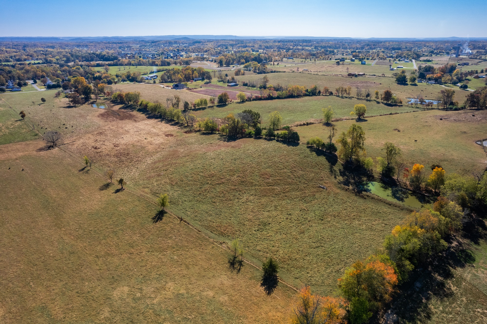 992 Clemmons Road Cookeville, TN 38501 - Photo 10 of 50 Gallery Image 10