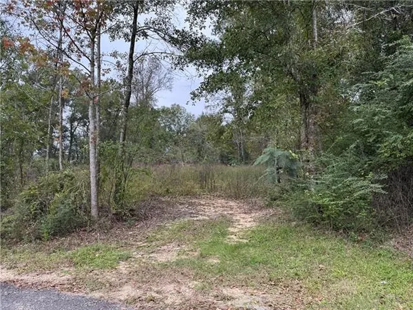 $20,000 | 29507 Clay Street, Albany, LA 70711