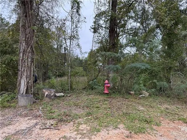 $20,000 | 29507 Clay Street, Albany, LA 70711