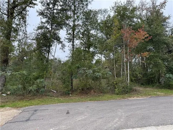 $20,000 | 29507 Clay Street, Albany, LA 70711