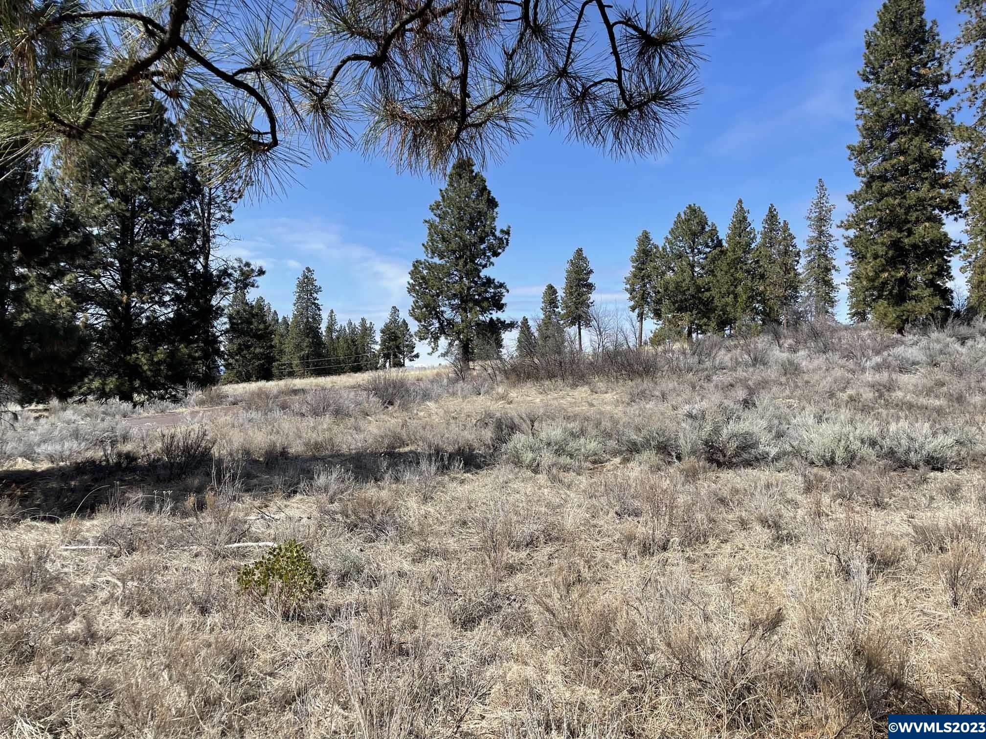 Irving (lot Chiloquin, OR 97624 - Photo 7 of 9
